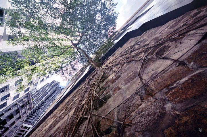 vertical-horizon6