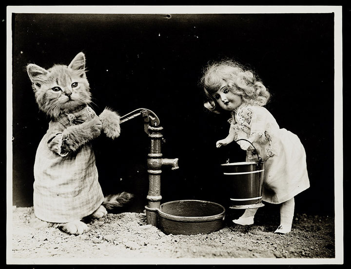 LOLcats-12