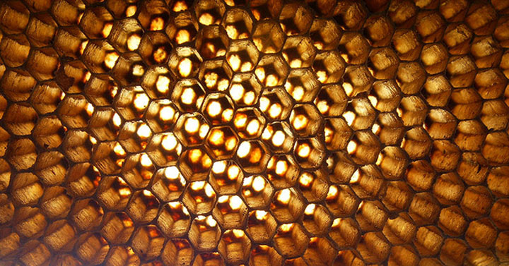 abeilles-super-heros7