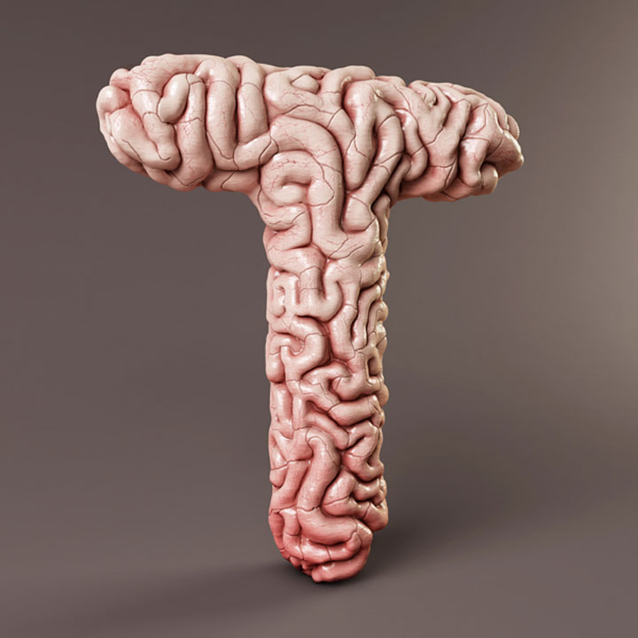alphabet-sculpte20
