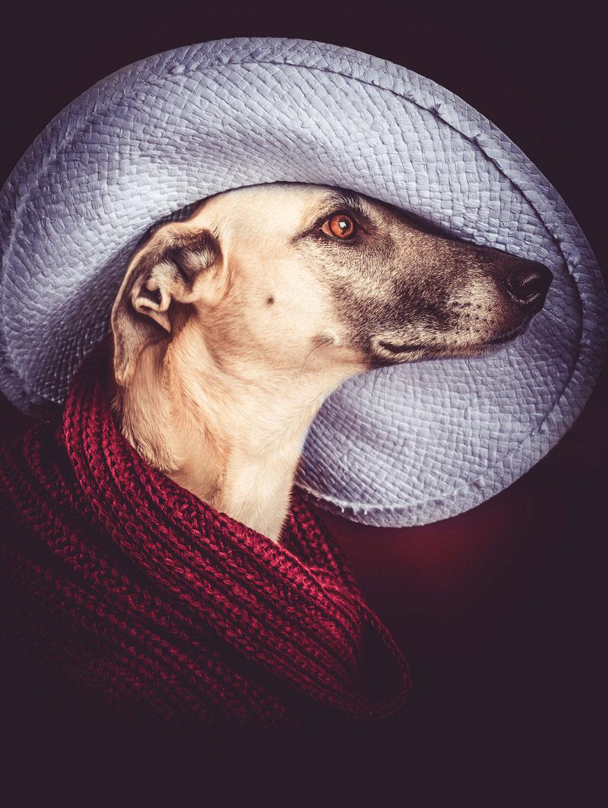 chien-4