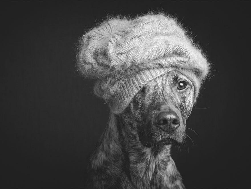 chien-9
