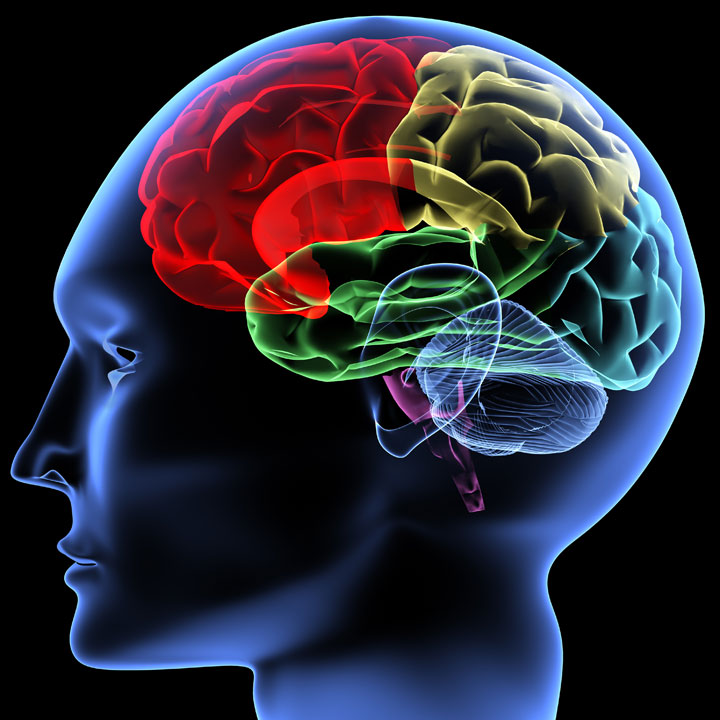 pour-ne-pas-devenir-fou-votre-cerveau-a-elabore-un-processus-de-loubli1