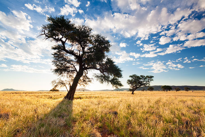 admirez-le-magnifique-desert-de-namibie-grace-a-ces-fantastiques-photographies21
