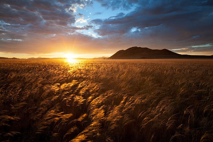 admirez-le-magnifique-desert-de-namibie-grace-a-ces-fantastiques-photographies27