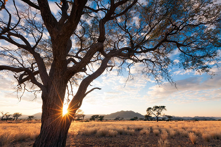 admirez-le-magnifique-desert-de-namibie-grace-a-ces-fantastiques-photographies29