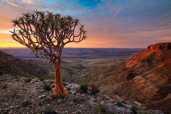 admirez-le-magnifique-desert-de-namibie-grace-a-ces-fantastiques-photographies31