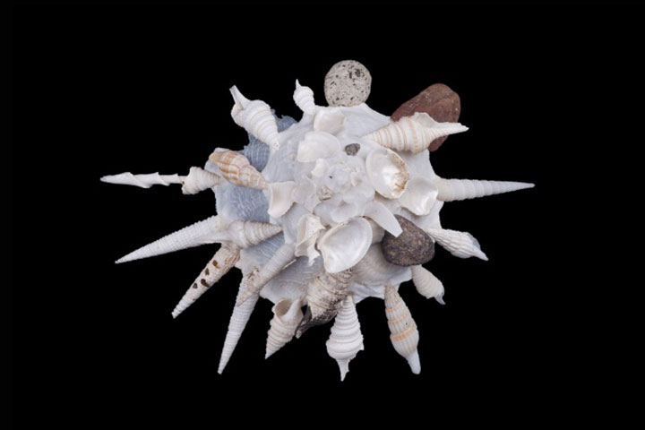 animal-construction-habitat2