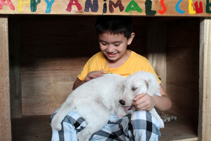 enfant-refuge-animaux-histoire15