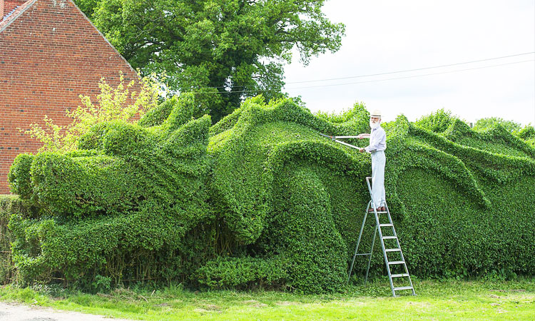 haie-dragon-plante-sculpture-une