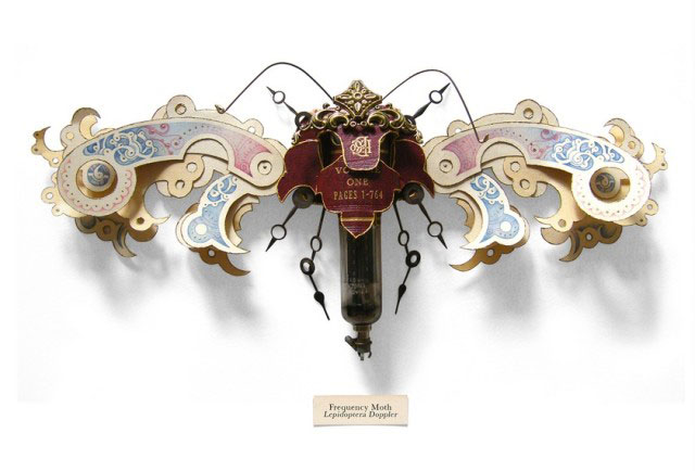 insecte-1