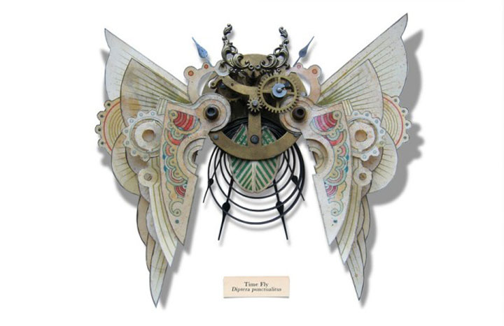 insecte12