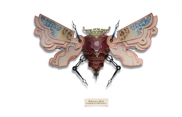 insecte16