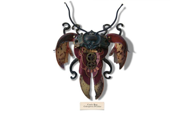insecte19