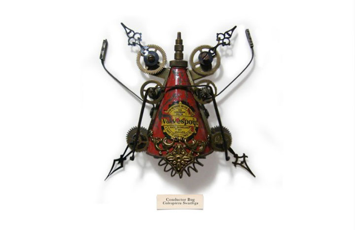 insecte20