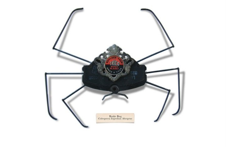 insecte23
