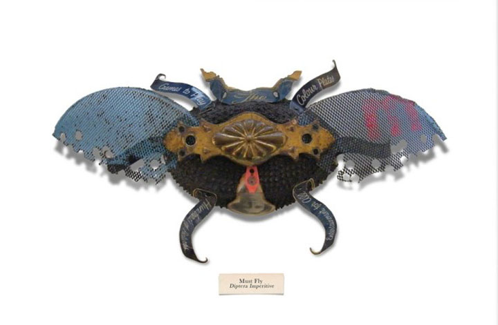insecte3