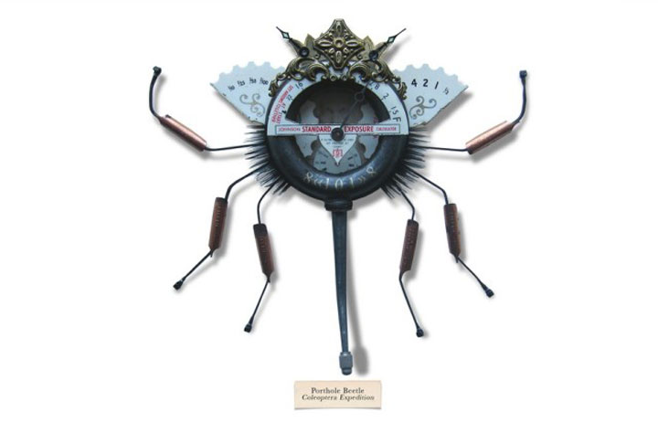 insecte4