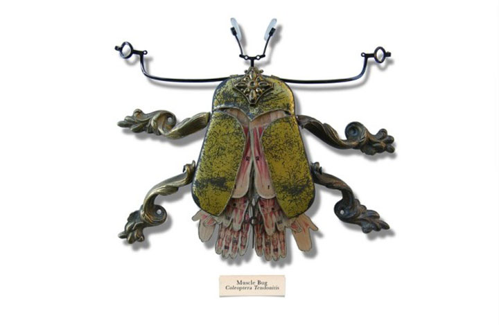 insecte7