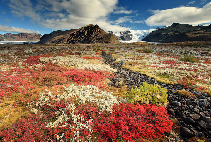 islande-decouverte-voyage-photographies12