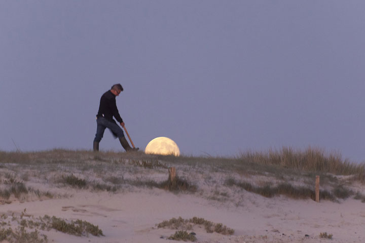 moon-1