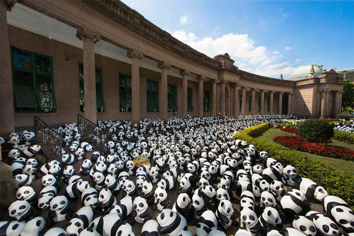 panda-7