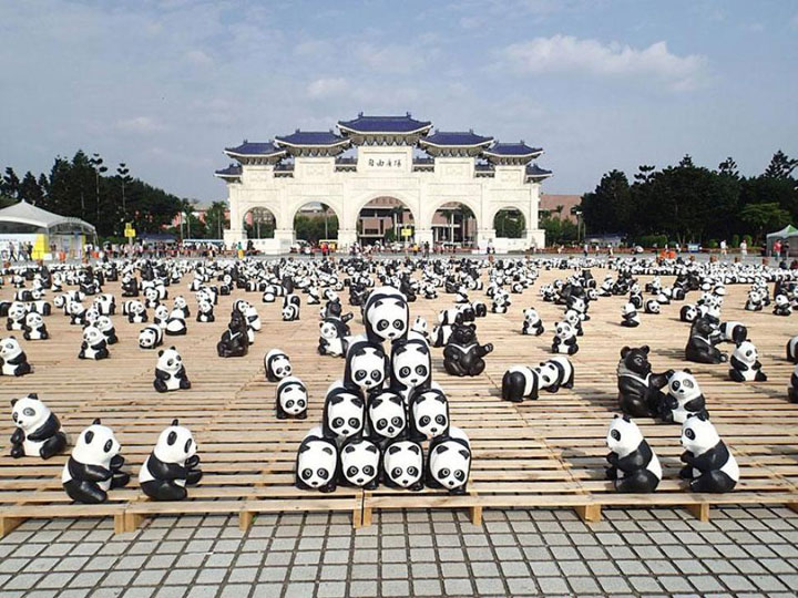 panda-9