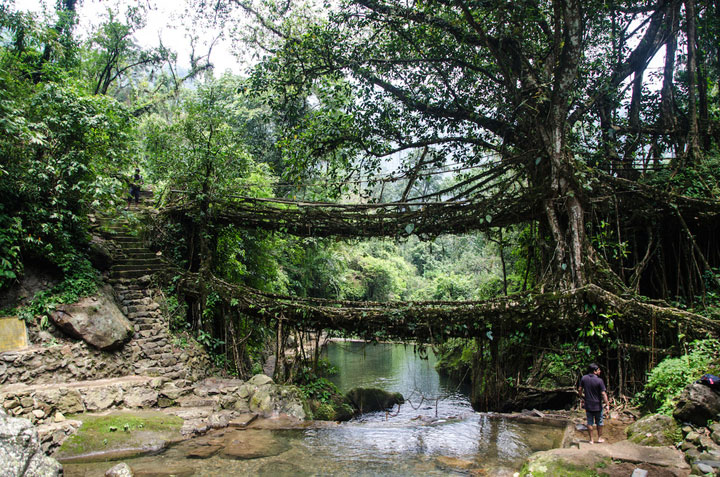pont-4