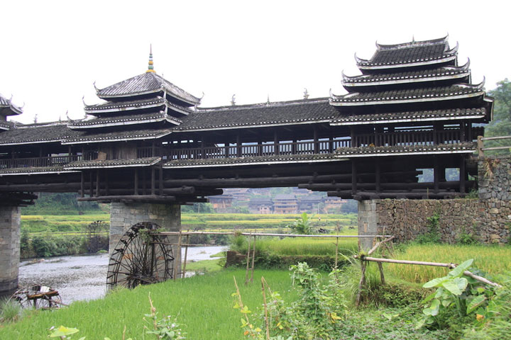 pont-8