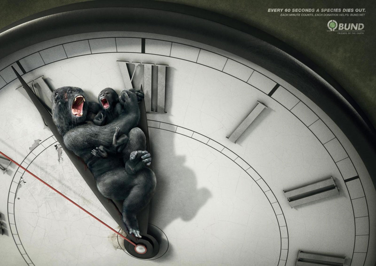 60-seconds-gorilla