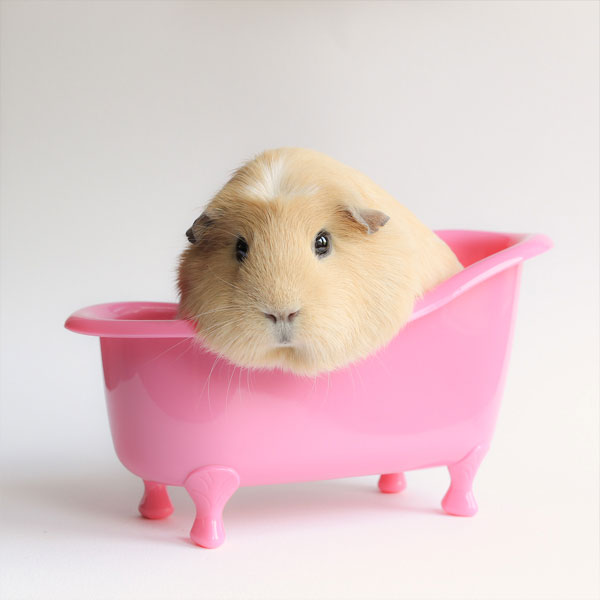 booboo-bain