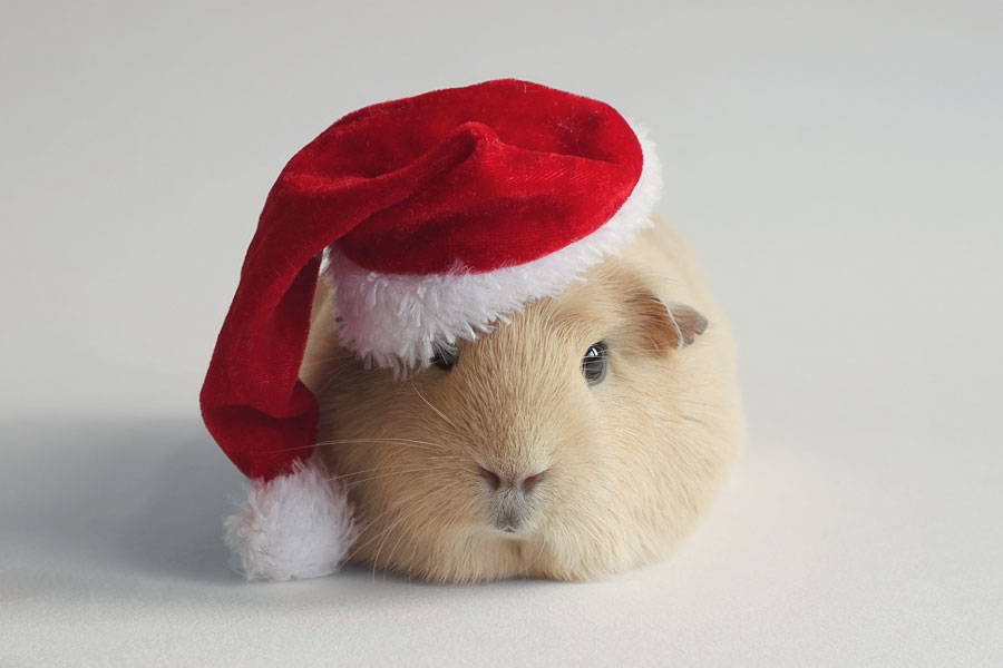 booboo-bonnet-noel