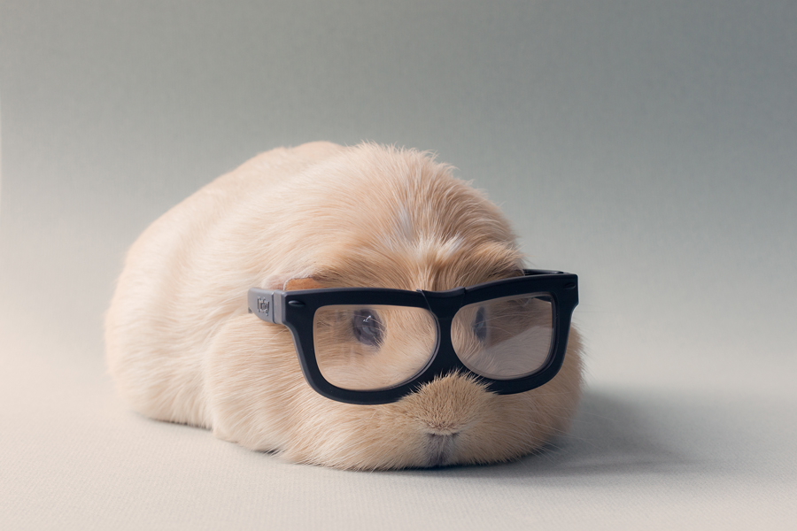 booboo-lunette-professeur