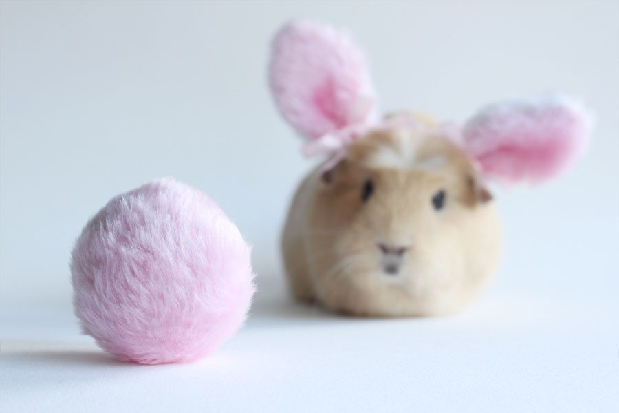 booboo-oreille-lapin-rose