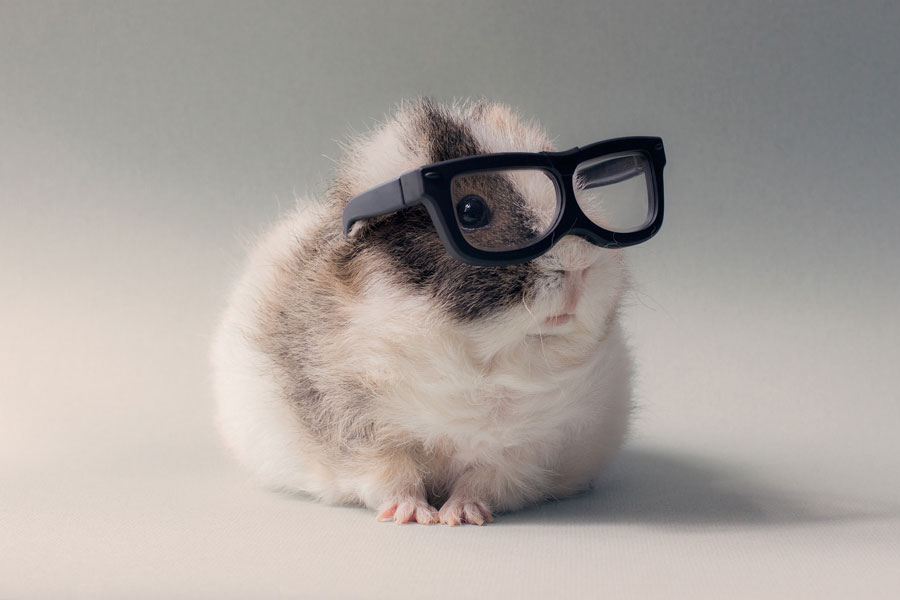 booboo-studieu