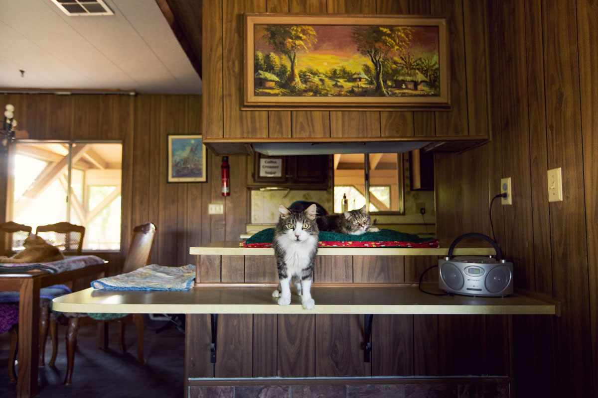 chat-bar
