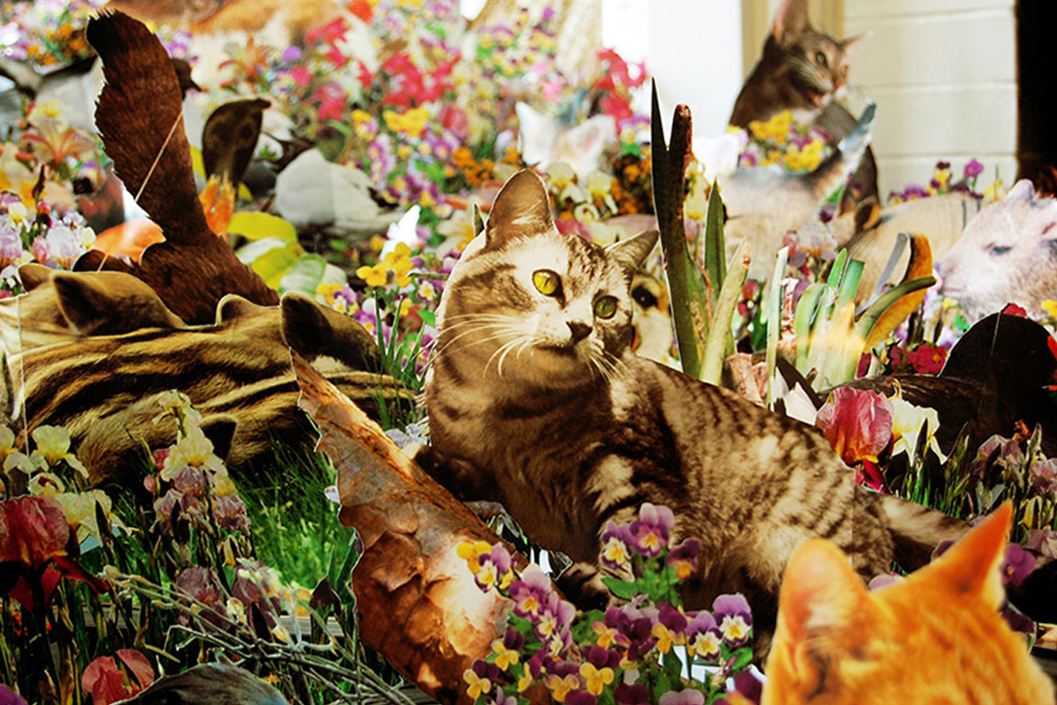chat-papier