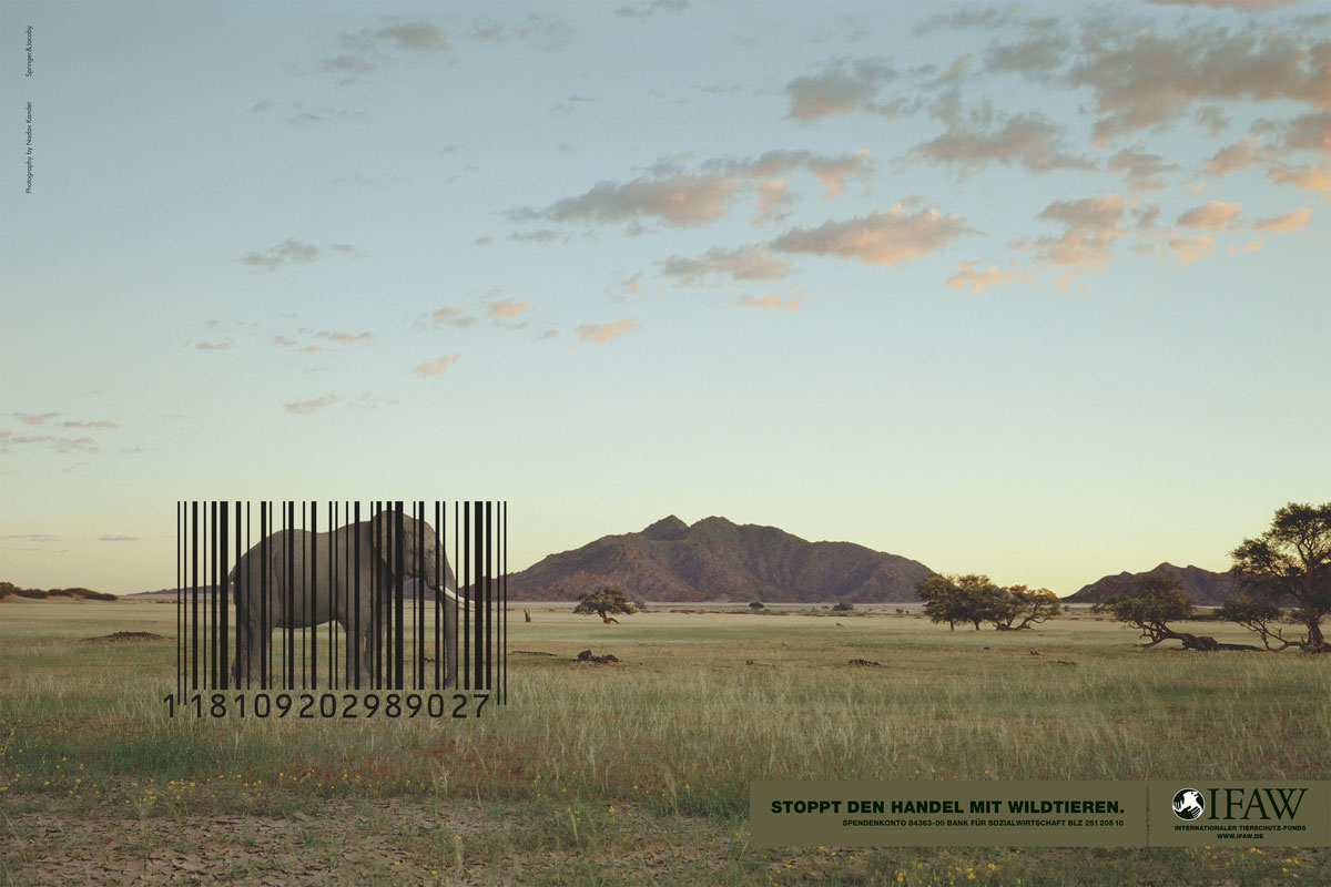 elephant-enferme