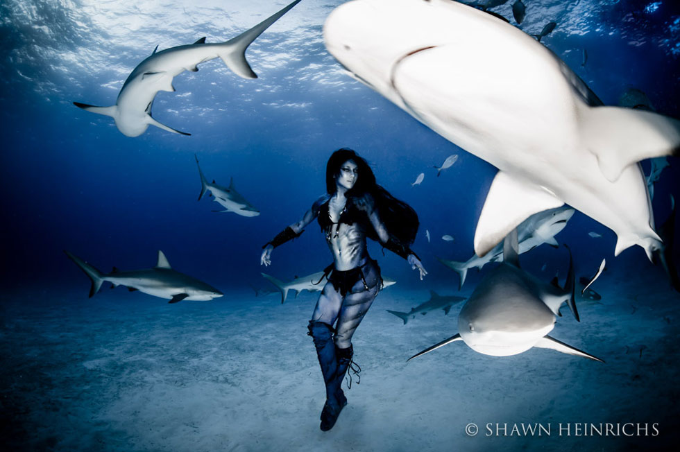 femme-entouree-de-requins