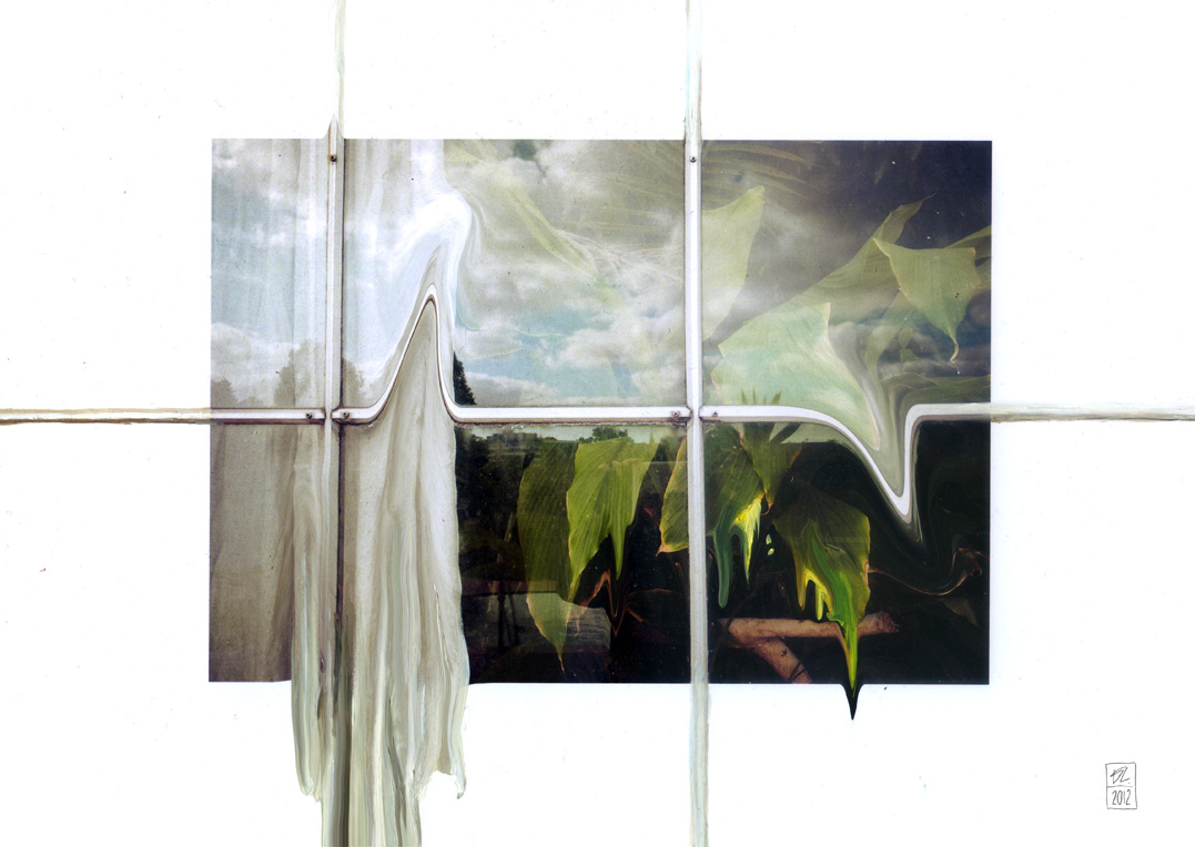 fenetre-plantes