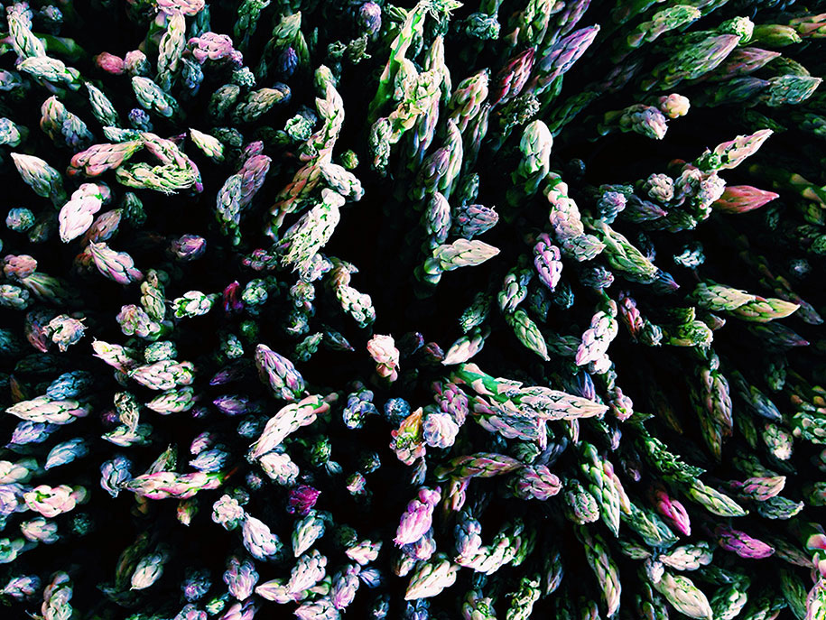 fleur-couleur