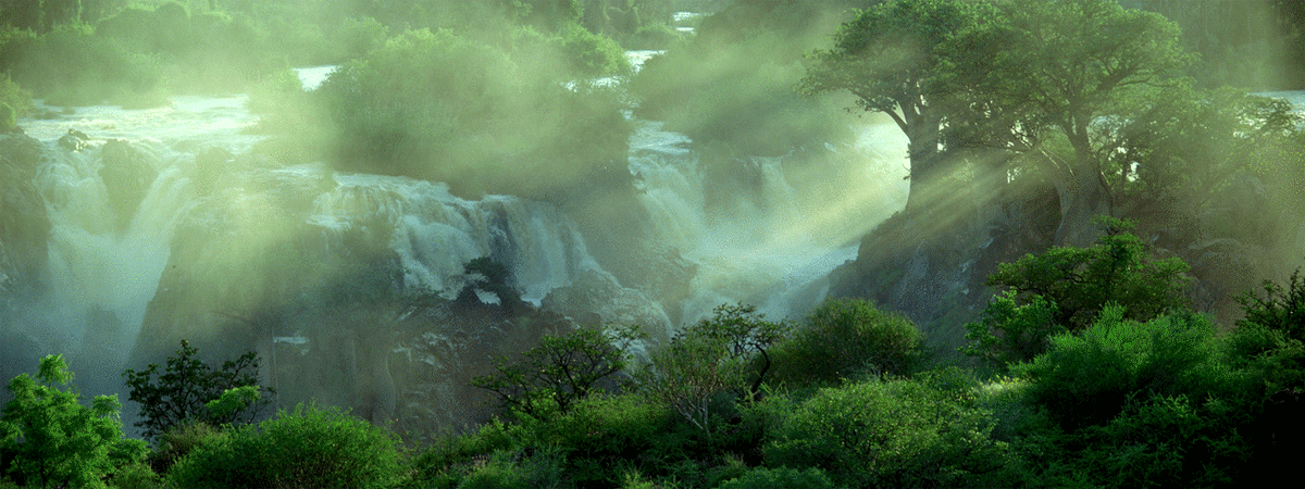 gif-nature-decouverte-hypnotique-paysage-12