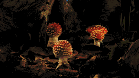 gif-nature-decouverte-hypnotique-paysage11