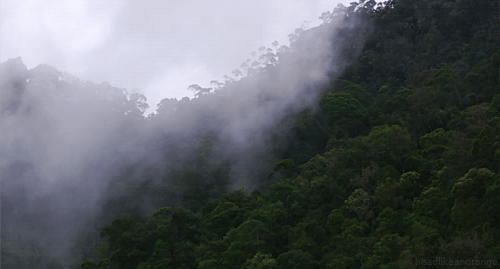 gif-nature-decouverte-hypnotique-paysage19