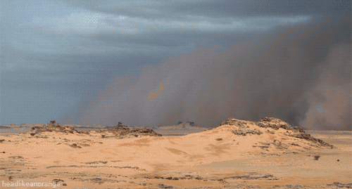 gif-nature-decouverte-hypnotique-paysage2