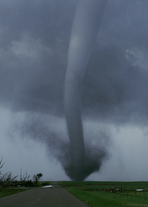 gif-nature-decouverte-hypnotique-paysage3