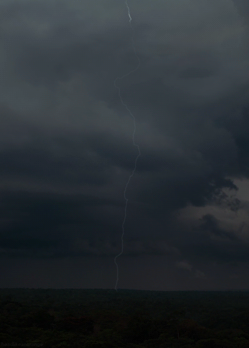 gif-nature-decouverte-hypnotique-paysage5