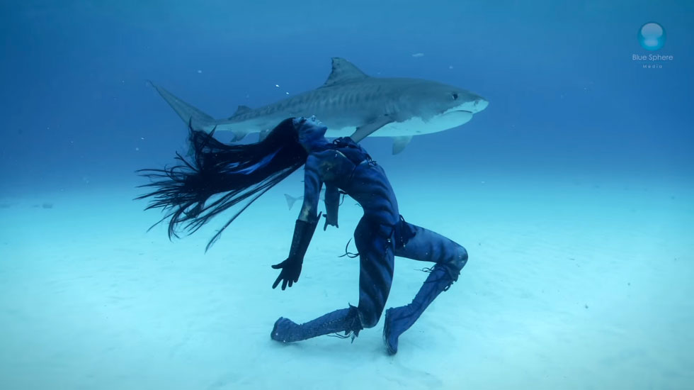 hanna-et-requin