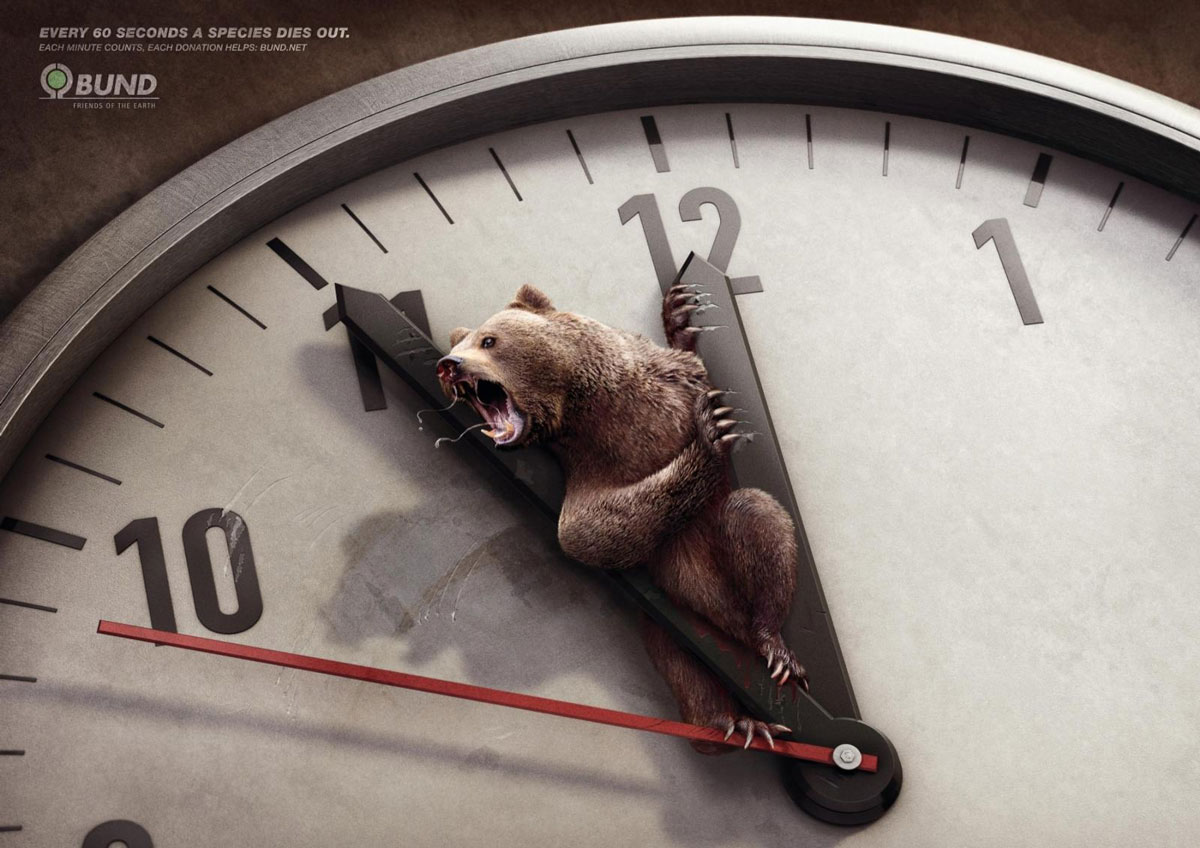 horloge-grizzli