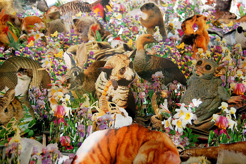 lemuriens-papier